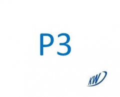 P3