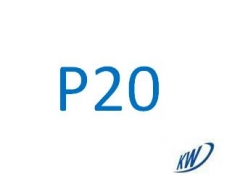 P20