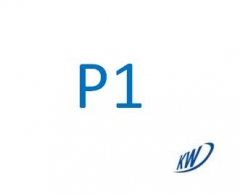 P1