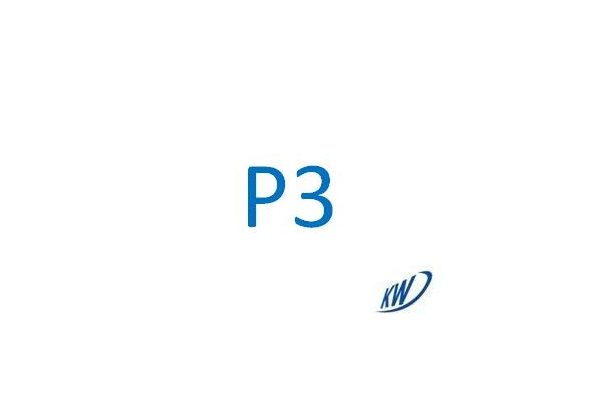 P3