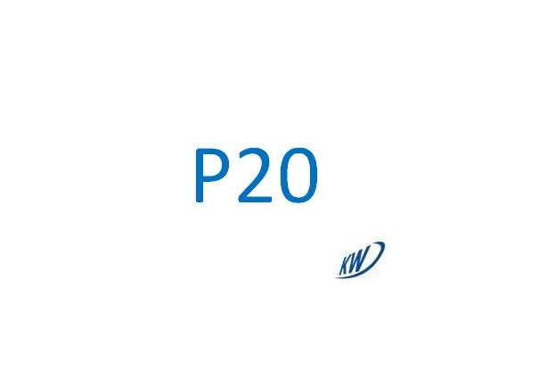 P20