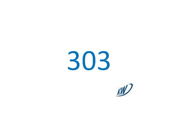 303